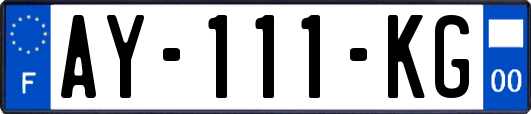 AY-111-KG