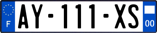 AY-111-XS