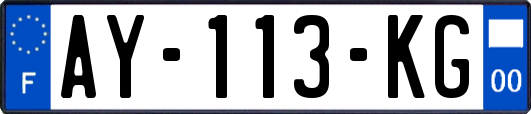 AY-113-KG