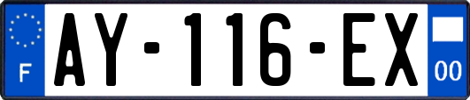 AY-116-EX