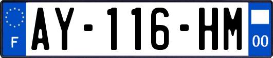 AY-116-HM