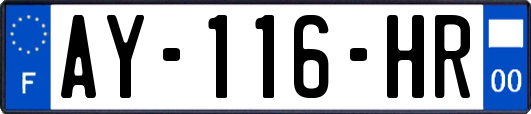 AY-116-HR