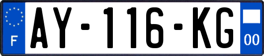 AY-116-KG