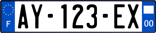 AY-123-EX