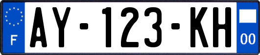 AY-123-KH