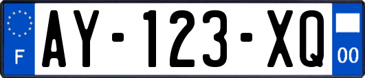 AY-123-XQ