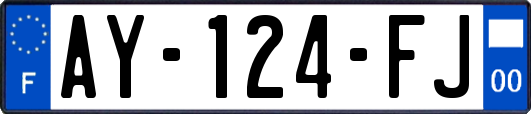 AY-124-FJ
