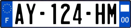 AY-124-HM