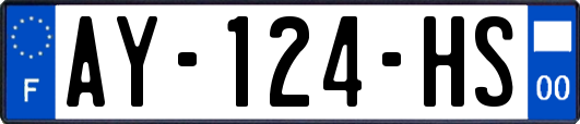 AY-124-HS