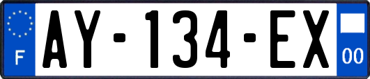 AY-134-EX