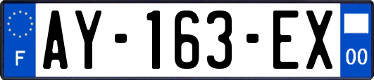 AY-163-EX