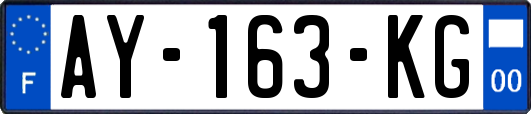 AY-163-KG
