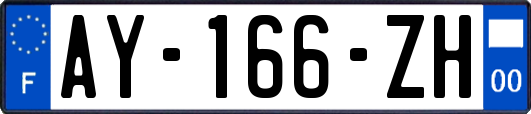 AY-166-ZH
