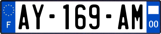 AY-169-AM