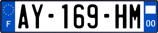 AY-169-HM