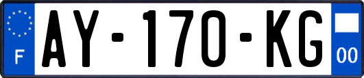 AY-170-KG