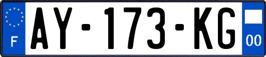 AY-173-KG