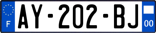 AY-202-BJ