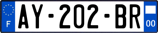 AY-202-BR