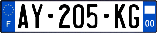 AY-205-KG