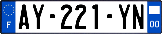 AY-221-YN