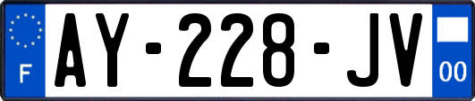 AY-228-JV