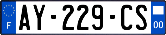 AY-229-CS