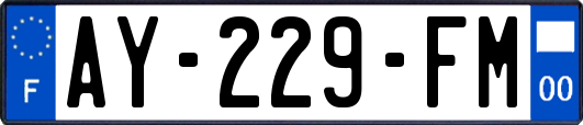 AY-229-FM