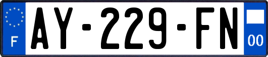 AY-229-FN