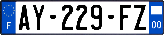 AY-229-FZ