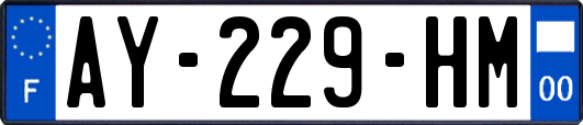 AY-229-HM