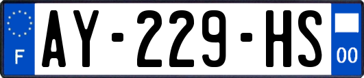 AY-229-HS