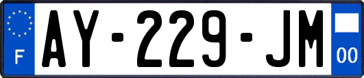 AY-229-JM