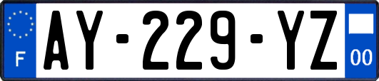 AY-229-YZ