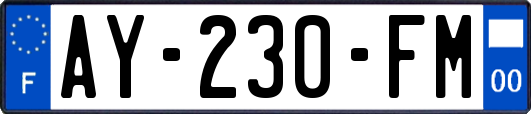 AY-230-FM
