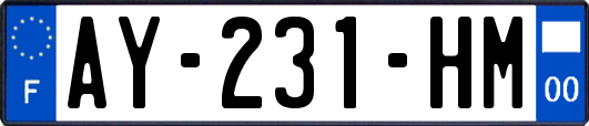 AY-231-HM