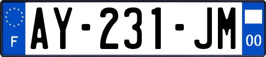 AY-231-JM