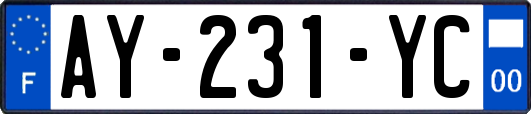 AY-231-YC