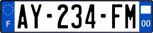 AY-234-FM