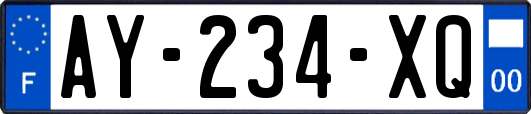 AY-234-XQ