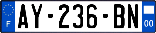 AY-236-BN