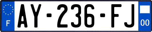 AY-236-FJ