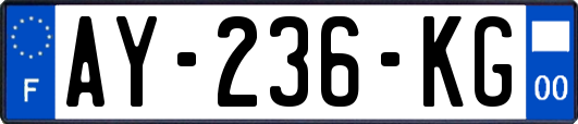 AY-236-KG