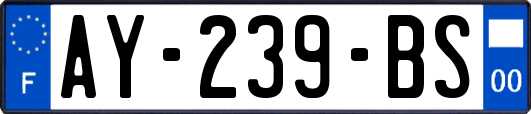 AY-239-BS
