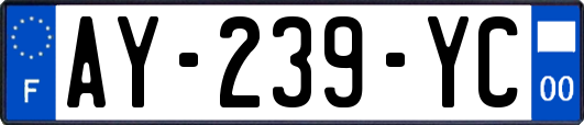 AY-239-YC