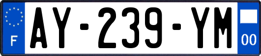 AY-239-YM