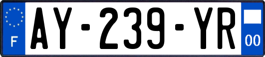 AY-239-YR