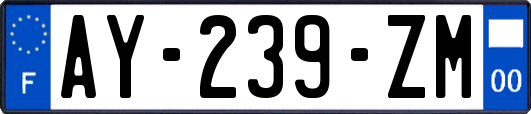 AY-239-ZM
