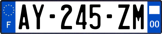 AY-245-ZM
