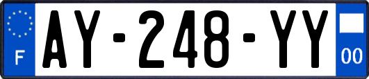 AY-248-YY
